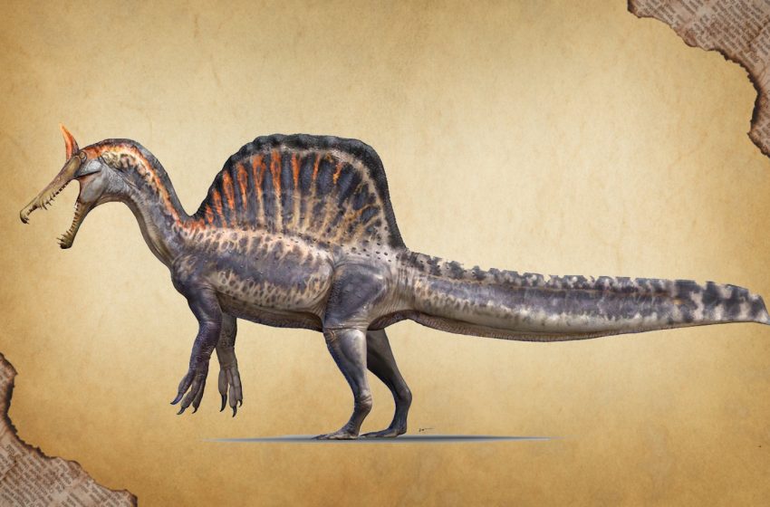  Scientists discover terrifying new Spinosaurus dubbed the “hell heron”