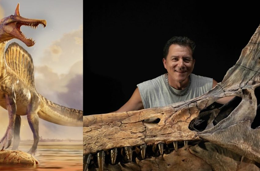  ‘You might uncover a lost world’