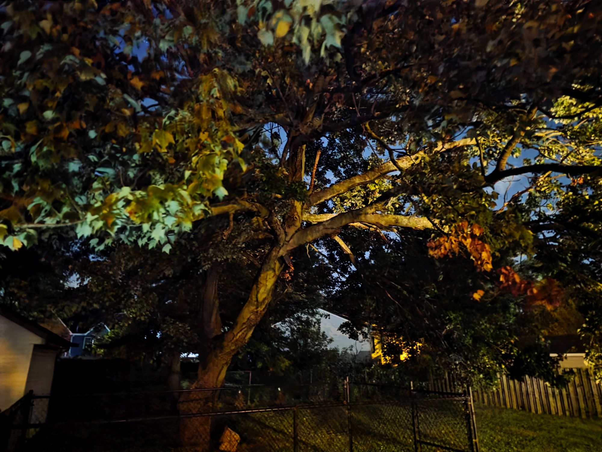 Samsung Galaxy S25 Ultra low light sample.