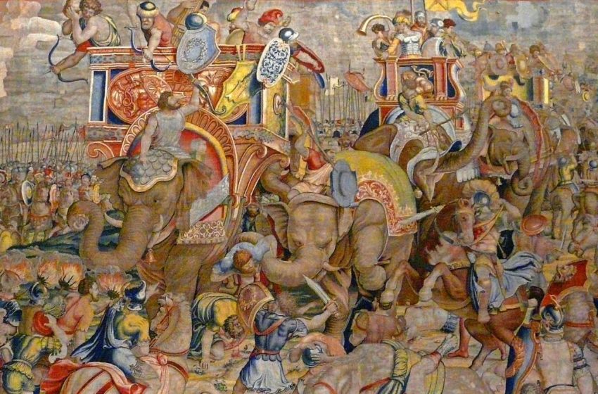  First Solid Evidence of Hannibal’s Infamous War Elephants Discovered in Spain : ScienceAlert