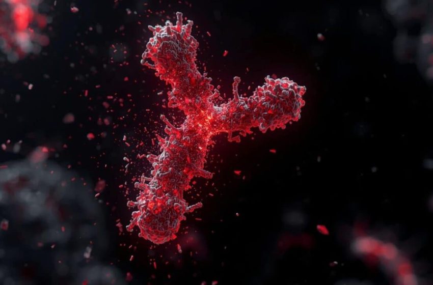  The Y Chromosome Is Vanishing, And the Effects on Men Have Already Begun