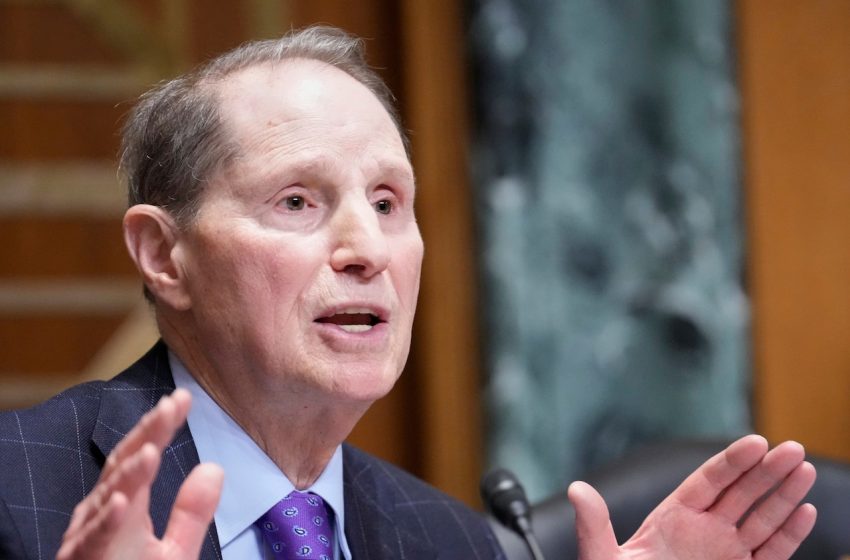  ICE is ‘weaponizing your private data,’ Oregon senator warns