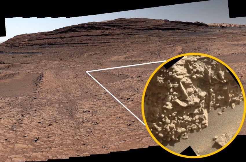  Giant ‘spiderwebs’ on Mars contain tiny egg-like structures that scientists ‘can’t quite explain,’ NASA rover reveals