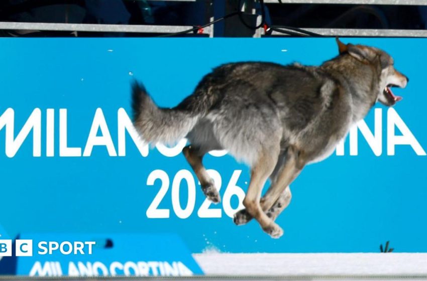  Winter Olympics 2026: Penis injections, cheating biathletes and curling rows – stories we didn’t expect to tell