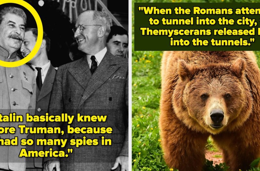  29 Absolutely Ridiculous But True History Facts