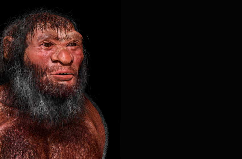  What are ghost lineages, remnants of the past that still exist in our DNA today?