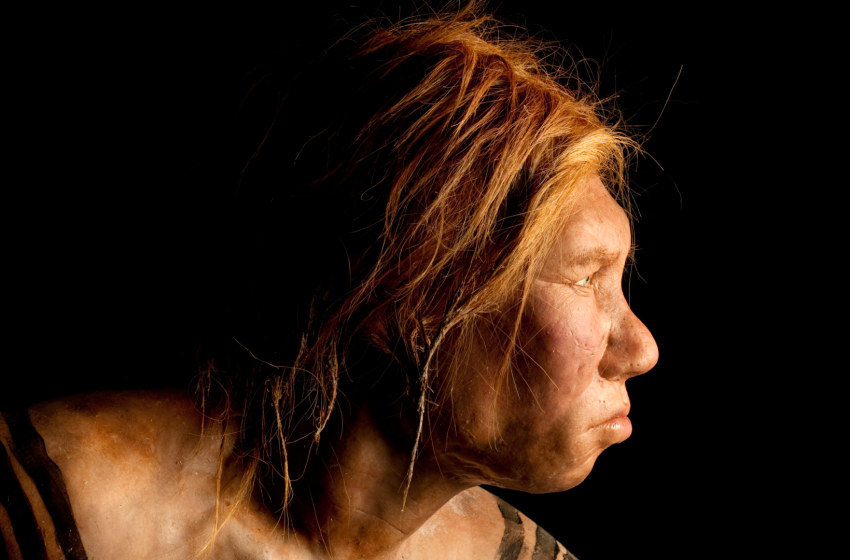  Research group claims preeclampsia doomed the Neanderthals, but experts say it’s just a ‘thought experiment’
