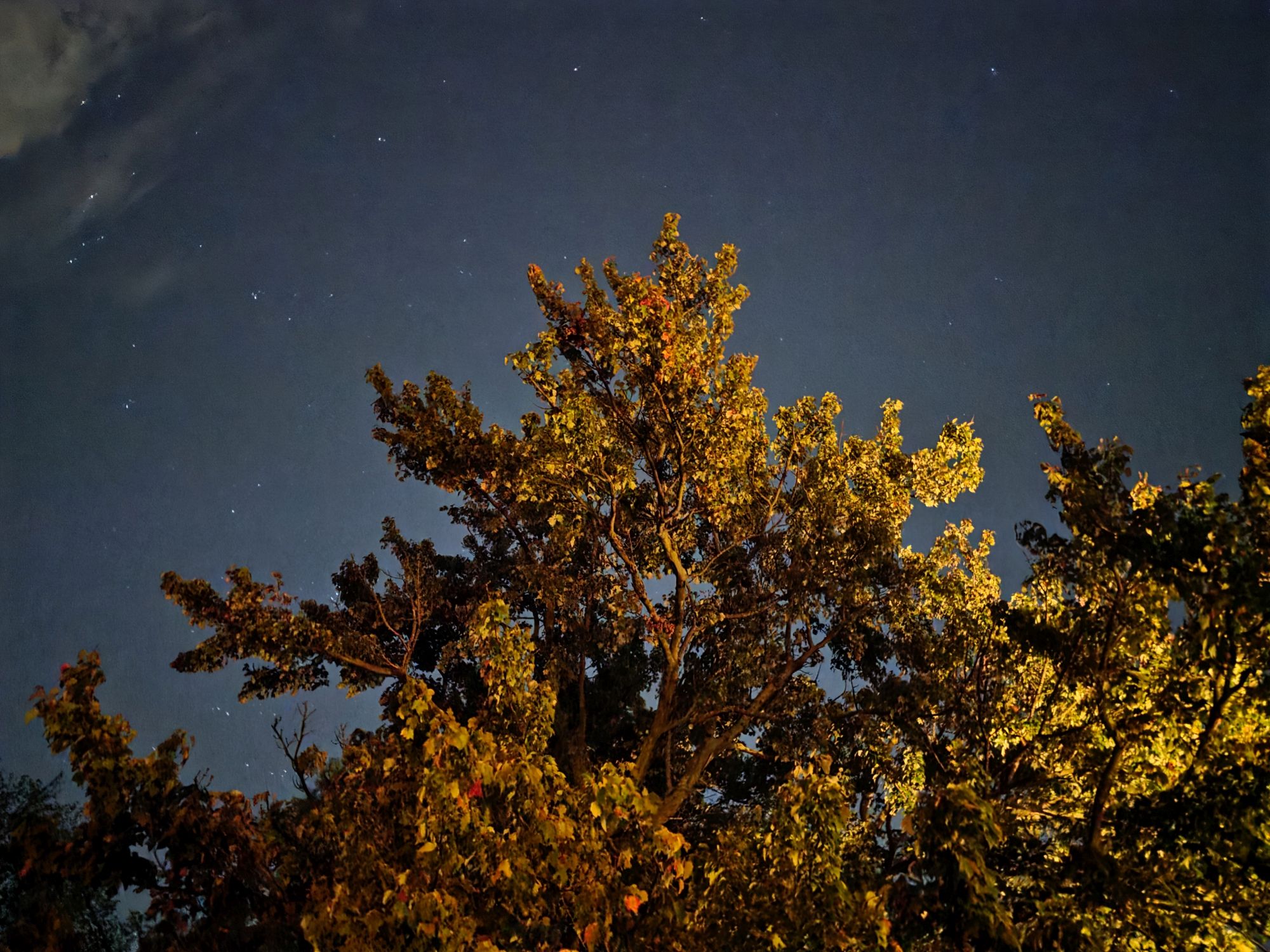 Samsung Galaxy S25 Ultra low light sample.