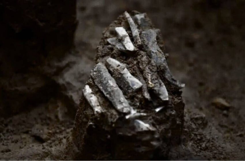  Buried for 30,000 Years, One Ice Age Traveler’s Toolkit Is Altering Human History