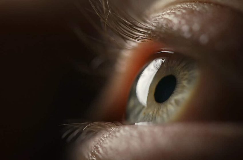  Scientists Believe Your Eye’s Blind Spot Holds the Key to Understanding Consciousness