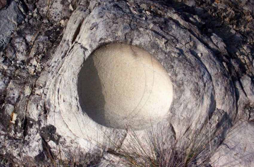  Buried for 68 Million Years, Scientists Just Found a Dinosaur Egg Inside Another Egg