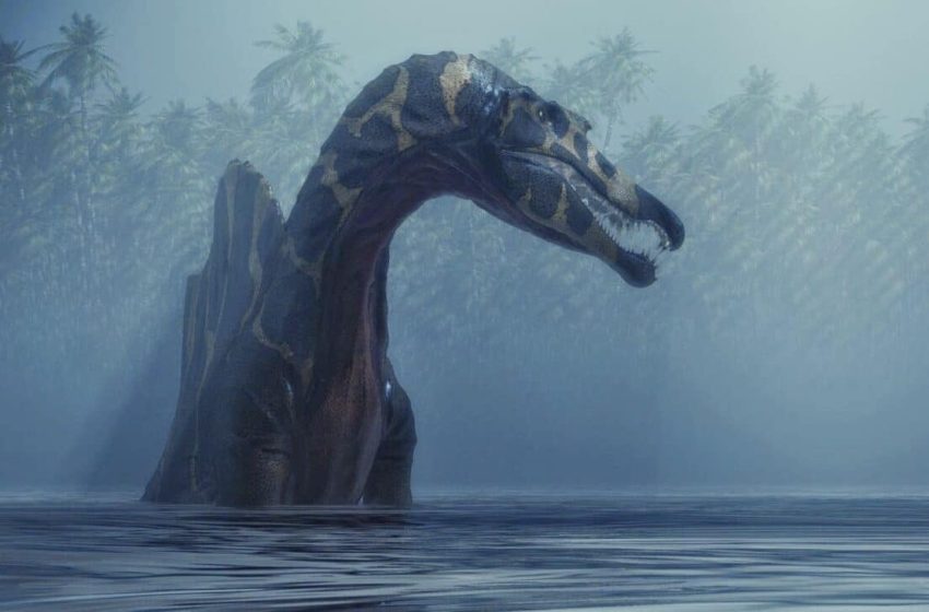  Scientists Unearth a Massive 40-Foot ‘Hell Heron’ Dinosaur That Hunted in Sahara Shallows Far from the Sea