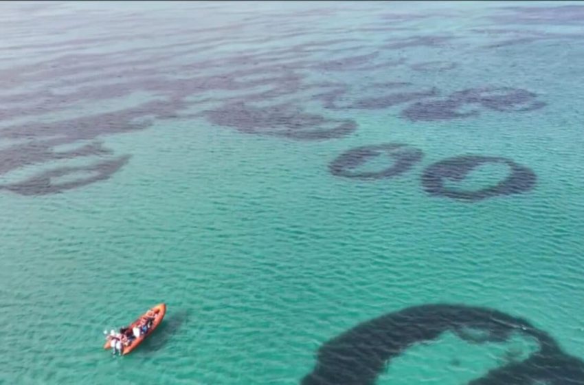  Scientists Find Strange Circles in Scottish Waters, But They Might Not Last Long