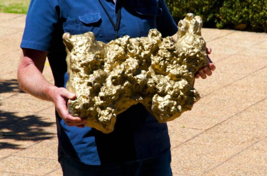  An Australian Man Thought He Had Found Gold, Only to Discover He Actually Had a Fragment of the Solar System