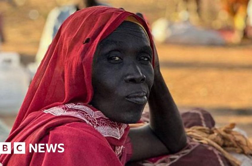  Sudan war: UN sanctions RSF leaders over el‑Fasher atrocities – BBC