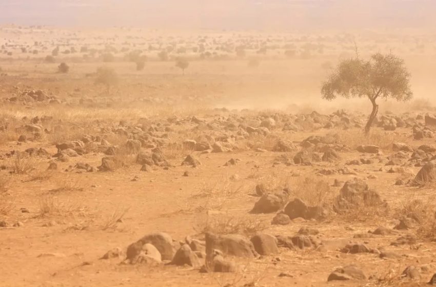  ‘Visible signs of malnutrition and wasting’