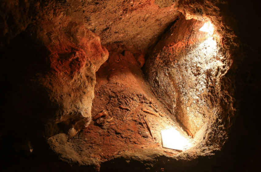  Archaeologists Discover Mysterious Collections of Animal Skulls in Neanderthal Cave