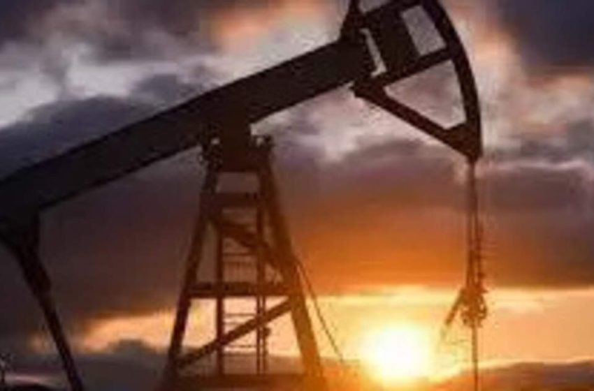  India to restrict Russian oil buy, import only where supplies are irreplaceable: Sources