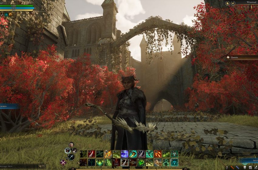  Newly-Released MMO Ashes of Creation Left in Tatters as Senior Team Quits and Management Issues Layoff Warning — and Now Steam Is Reportedly Investigating