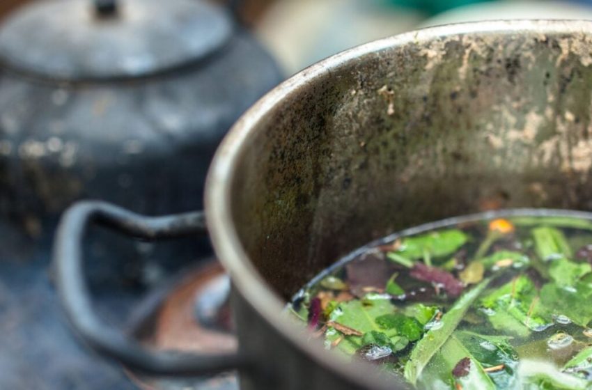  Could DMT Be a New Treatment for Depression? A Small Study Says Yes