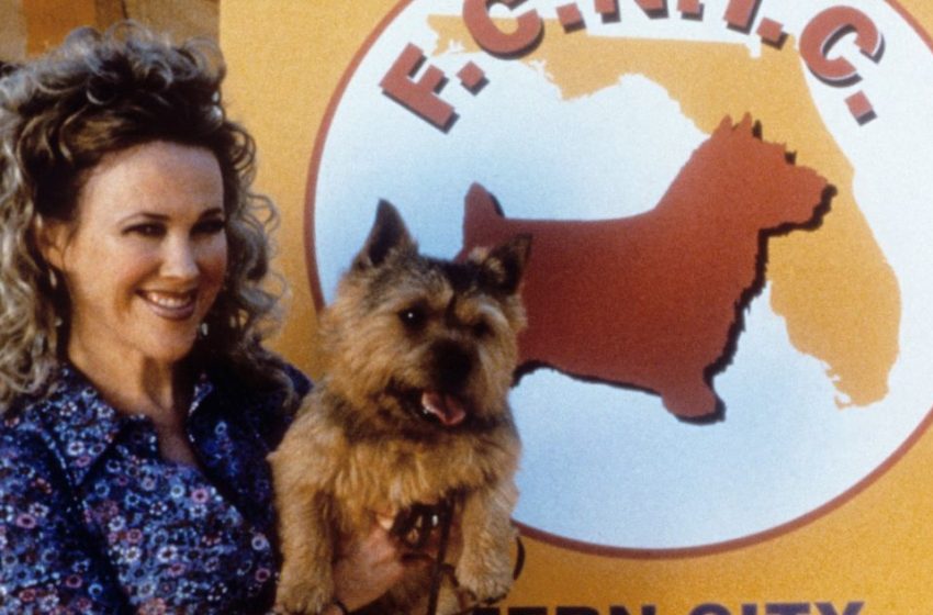  The Westminster Dog Show Paid Tribute to Catherine O’Hara – Vulture