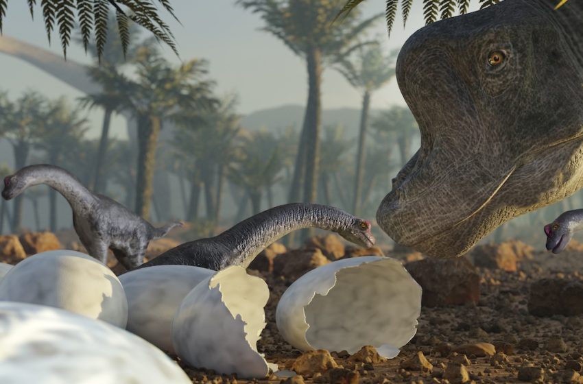  Baby Giants Were The Fast Food of The Jurassic, Study Reveals : ScienceAlert