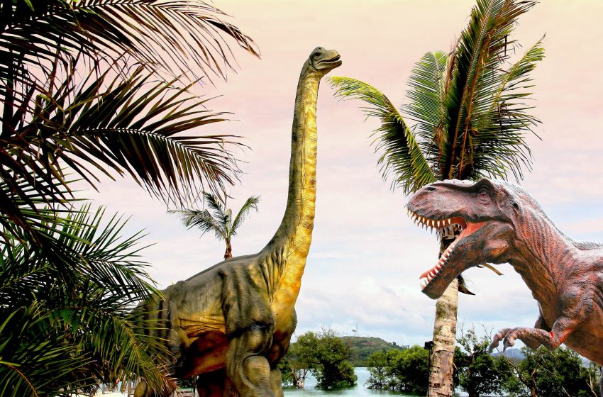  How Tyrannosaurus rex ate enough calories to grow so large