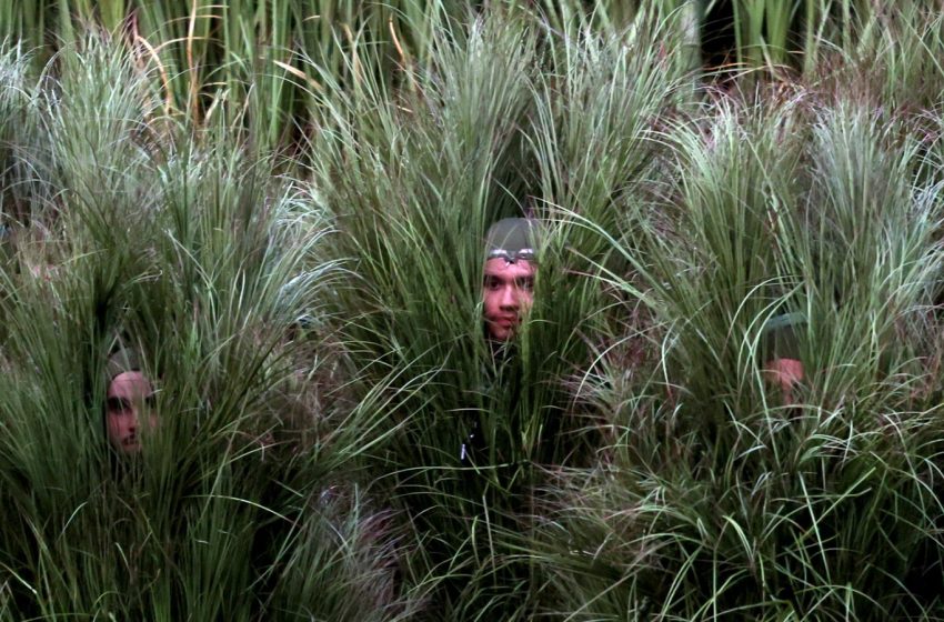  Bad Bunny Bush-People Interview