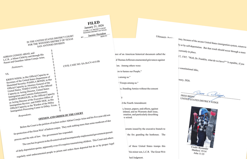  Annotating the Judge’s Decision in the Case of Liam Conejo Ramos, a 5-Year-Old Detained by ICE