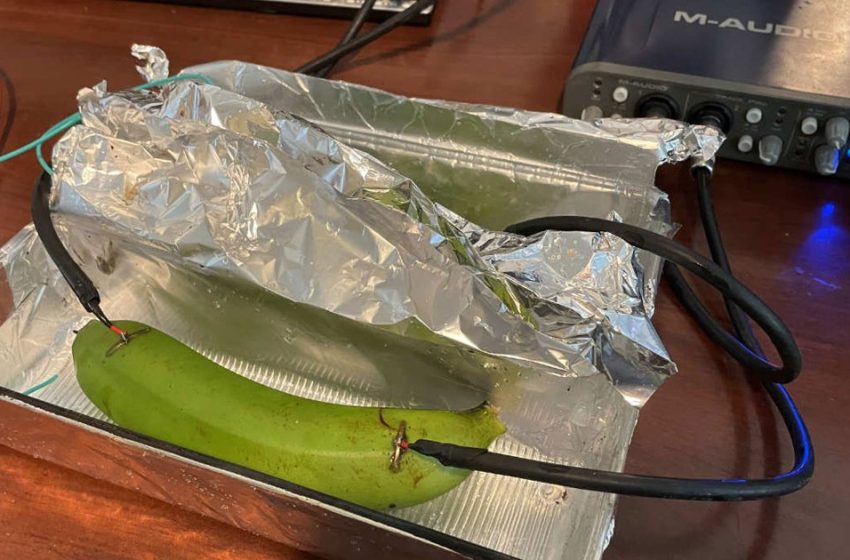  In Blind Test, Audiophiles Unable to Tell Difference Between Sound Signal Run Through an Expensive Cable and a Banana