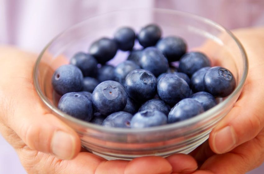  What Happened When I Ate Blueberries Every Day for 2 Weeks