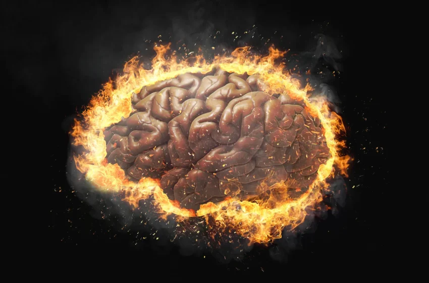  Brain inflammation may be driving compulsive behavior