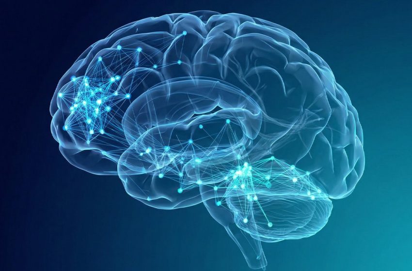  Alcohol shifts the brain into a fragmented and local state