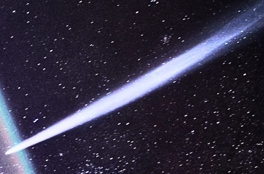  A Newly Discovered Comet May Soon Appear Bright in Our Skies : ScienceAlert