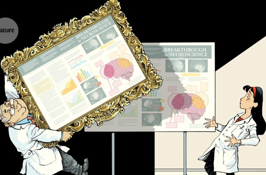  What can I do if my idea has been plagiarized?