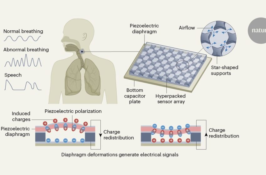  Self-powered vibration sensor for wearable health care and voice detection