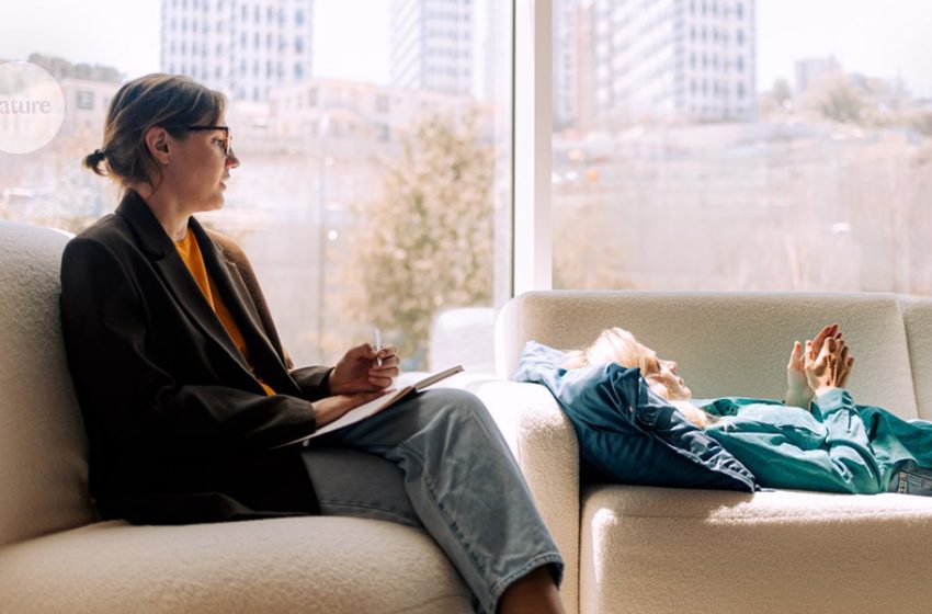  your guide to the next DSM