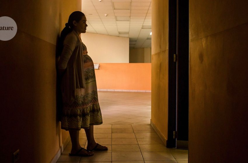  What drugs are safe during pregnancy? There’s a shocking lack of data