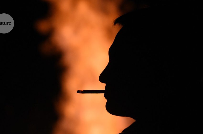  More than one-third of cancer cases are preventable, massive study finds