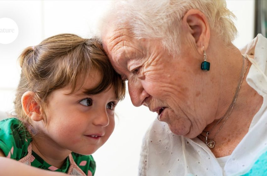  Brain differences between sexes get more pronounced from puberty