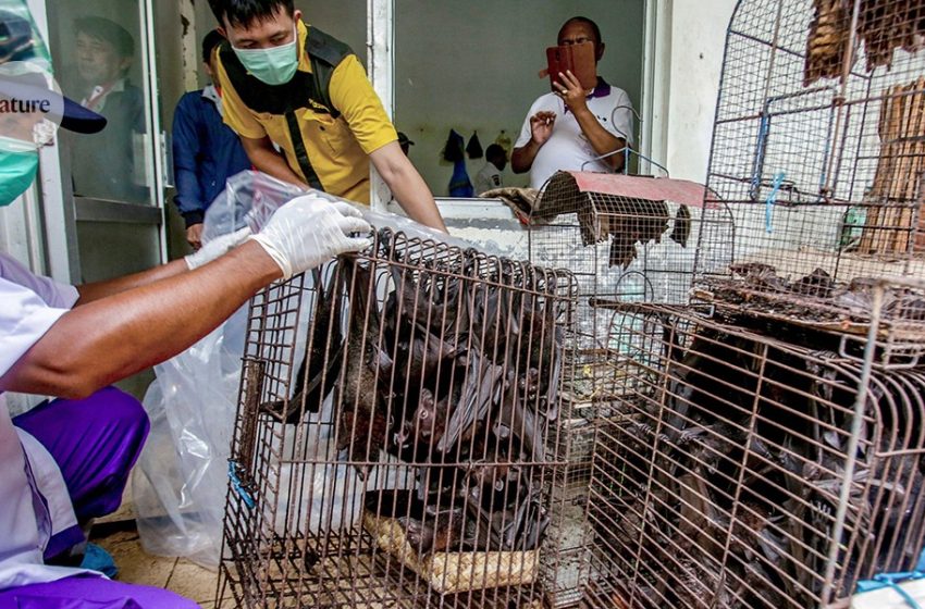  what we do and don’t know