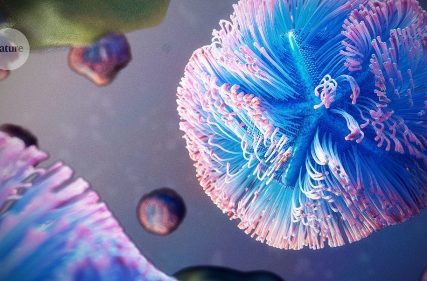  This giant virus hijacks cells’ protein-making machinery to multiply wildly