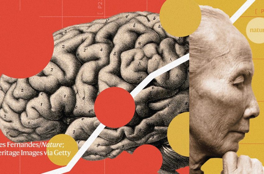  China is waging war on Alzheimer’s. What can its approach teach the rest of the world?