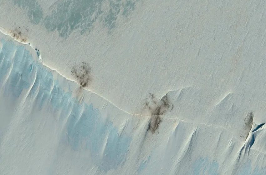  Brown specks on satellite image spark warning of ‘catastrophic consequences’ for beloved species