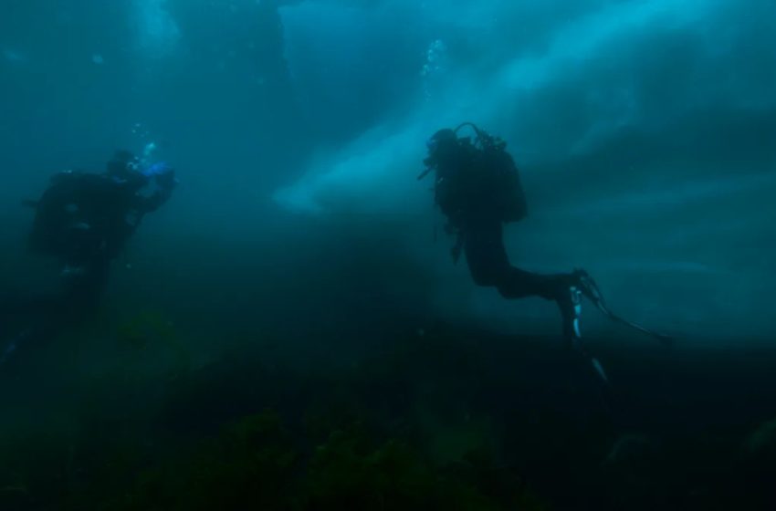  ‘We have virtually no idea what lives there’