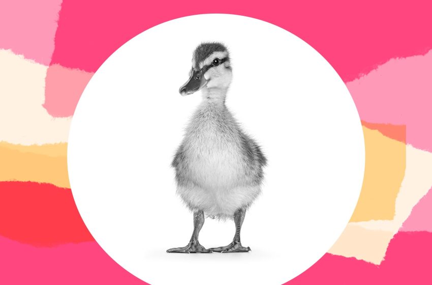  My husband has the “perfect” idea to make our daughter’s Easter unforgettable. It’s my nightmare.