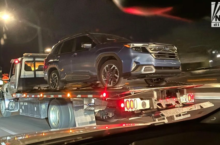  Nancy Guthrie disappearance: Vehicle towed from Arizona home, Trump vows ‘definitive’ answers soon