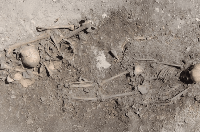  DNA from 5,500-Year-Old Graves Solves Long-Standing Genetic Mystery