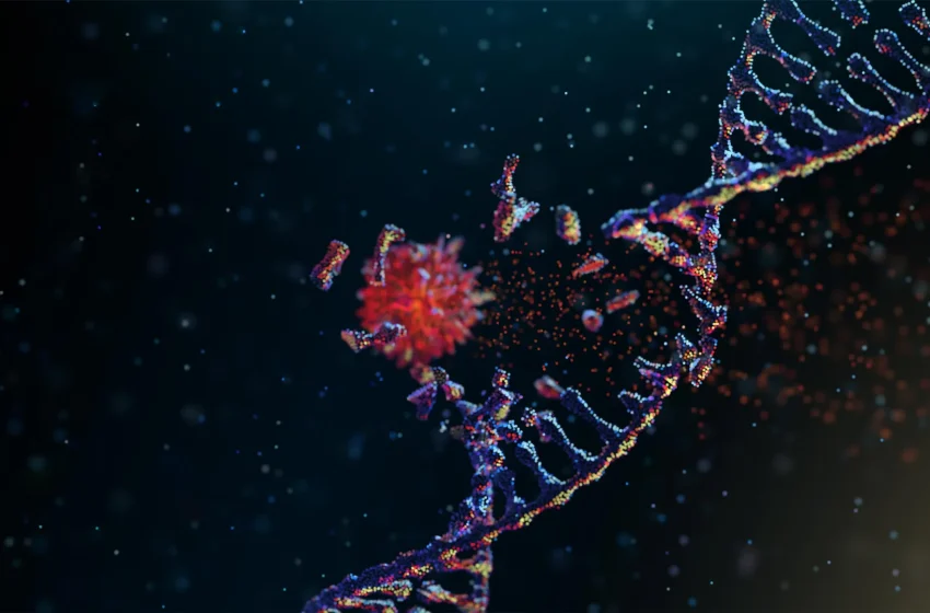  Scientists discover the enzyme that lets cancer rapidly rewire its DNA