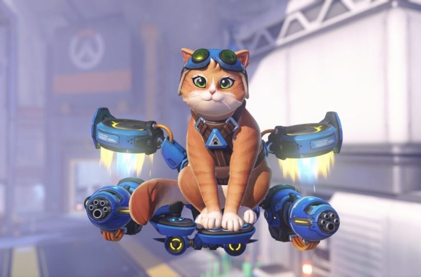  Overwatch’s New Jetpack-Using Cat Hero Is An Agent Of Pure Chaos